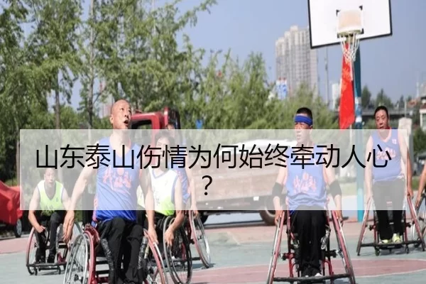 山东泰山伤情为何始终牵动人心？